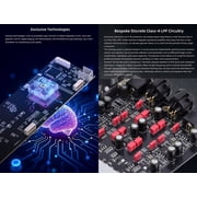 Gustard R26 II dac, r2r Streaming Decoder preamp,Fully balanced digital-analog converter,suitable for home audio,Silver