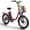 Rose Red1, variant on Folding Electric Bikes for Adults 1000W Peak 70 Miles Max Range 20mph Top Speed Step Thru E Bike Fat Tire Foldable E-Mountain Bike with Front Basket, 7 Speed, 36V 13.5AH Battery, UL2849 by SGS