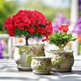 thumbnail image 2 of 3-Piece Ceramic Flower Pot Set with Trays - Small, Medium & Large with Drainage Holes - for Succulents, Orchids &  - Perfect for Home, Balcony & Holiday Decor, 2 of 14