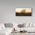 thumbnail image 3 of Trademark Fine Art 'Wine Country Winter' Canvas Art by Lance Kuehne, 3 of 3