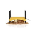 thumbnail image 1 of Brinsea Products USHD611C Eco Glow Safety 600 Chick Brooder, 1 of 3