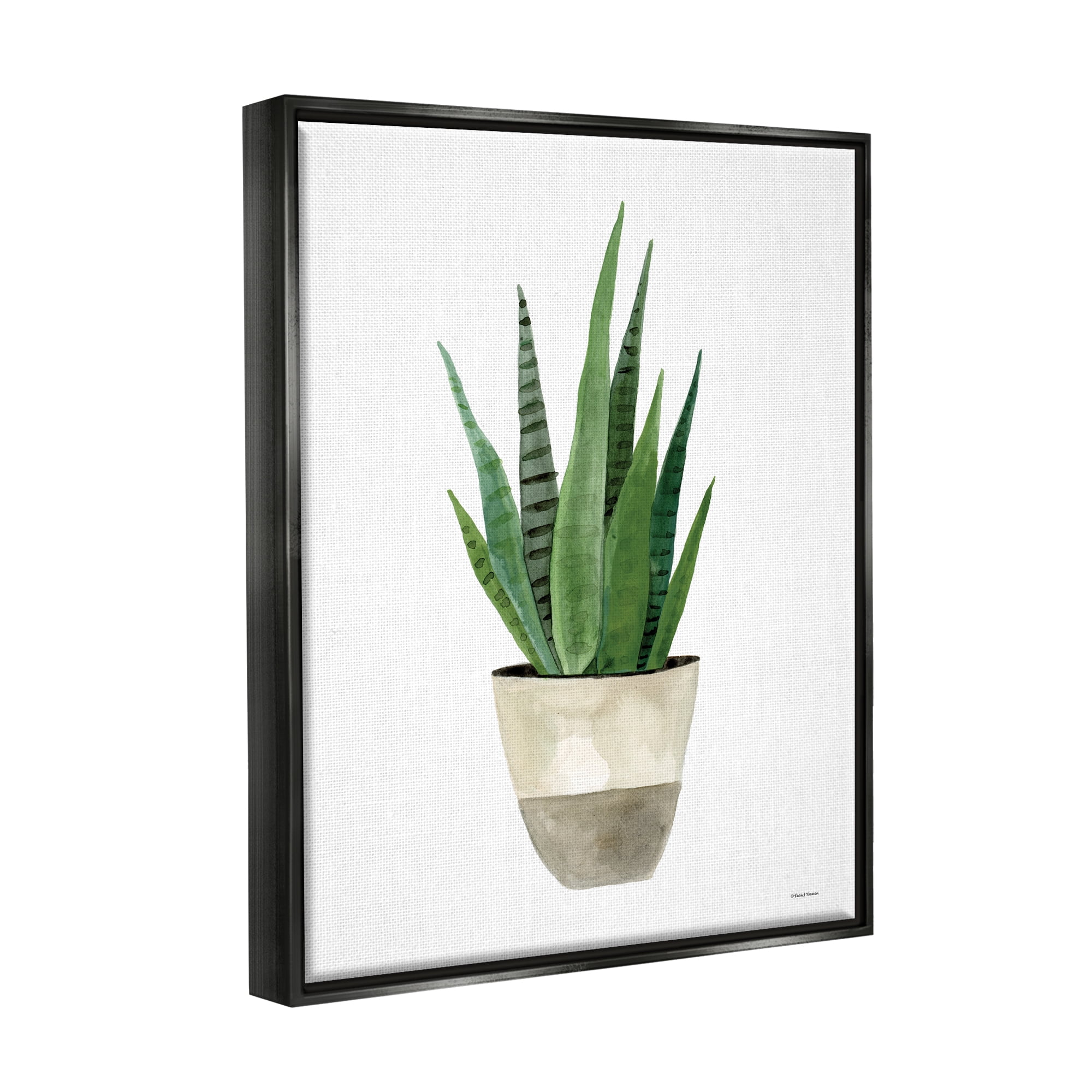 Stupell Potted Aloe Plant Casual Botanical & Floral Painting Black Floater Framed Art Print Wall Art