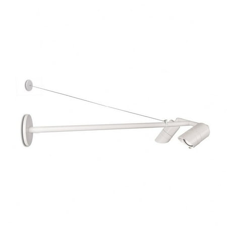 

WAC Lighting Endurance 2-Light 3000K LED Aluminum Signage Light in White/Clear