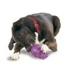 PetSafe Busy Buddy Squirrel Dude Dog Toy - Treat Dispensing Toy - Extra Small, Small, Medium and Large Sizes