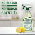 thumbnail image 4 of Citrus II Surface Disinfectant Cleaner Liquid 22 oz. Bottle Original Scent 12 Ct 633712927, 4 of 5