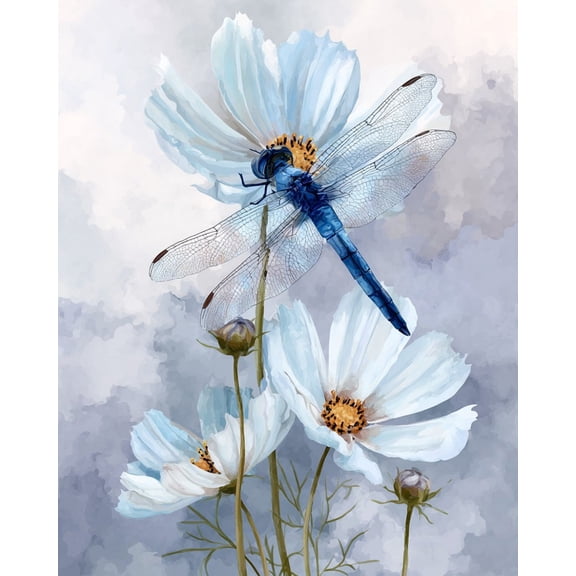 Paint by Numbers Adult DIY Hand Painted A woman in red and a black horse Oil Painting Canvas Kits with Brush and Acrylic Gifts and Home Decoration Without Frame 40 x 50 cm