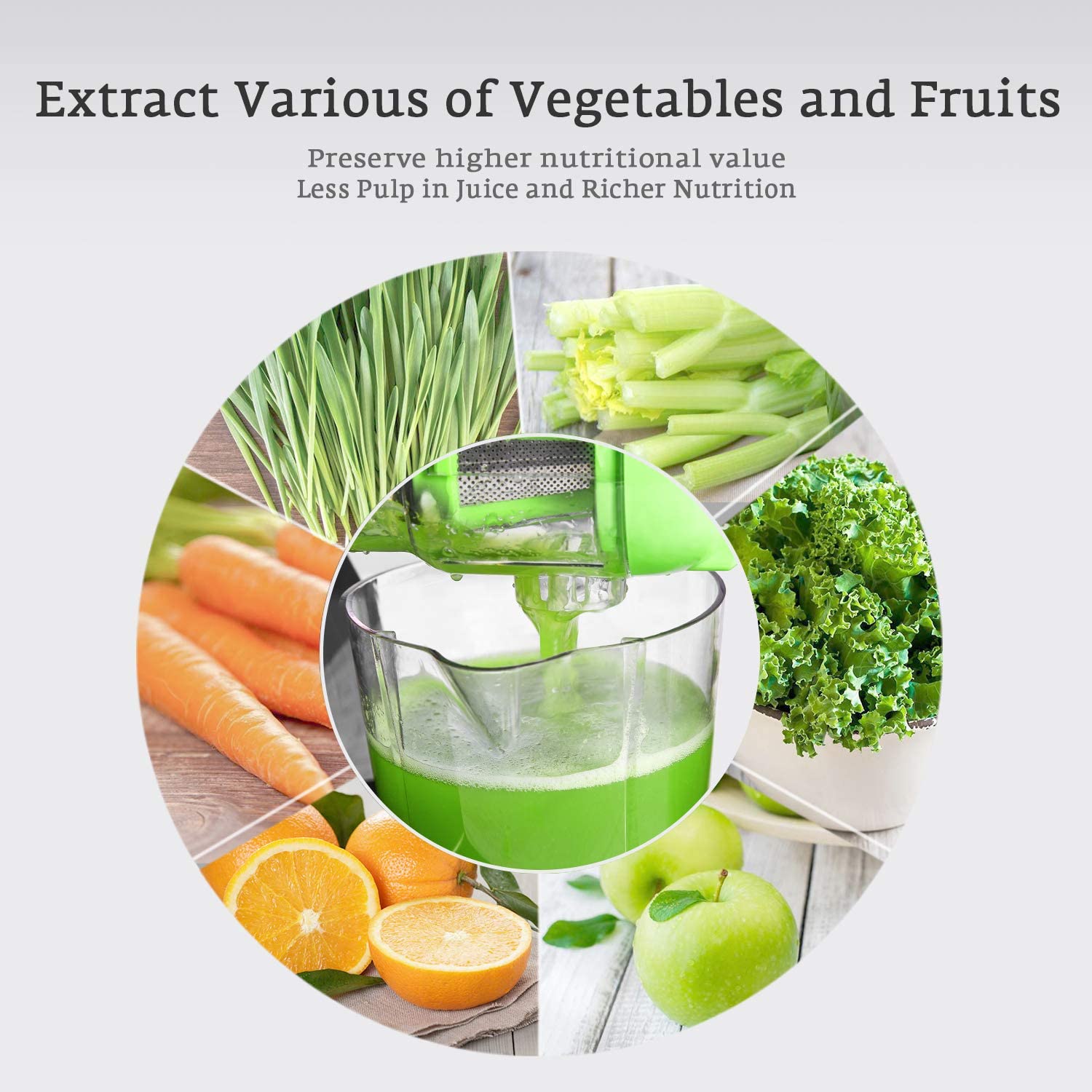 Buy Aicok Slow Juicer, Slow Masticating Juicer Extractor Easy to Clean