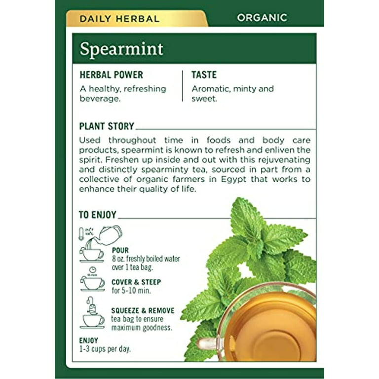 Traditional Medicinals Organic Spearmint Tea, Healthy & Refreshing, 16  Count (Pack Of 6)