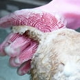 thumbnail image 3 of SPRING PARK 1 Pair Pet Grooming Glove - Gentle Deshedding Brush Glove - Enhanced Five Finger Design - Perfect for Dog & Cat with Long & Short Fur, 3 of 6