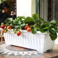 thumbnail image 3 of Dosaele Window Box Planter Vegetable Growing Box  17/19 Inches Rectangular Planters Box with Drainage Holes and Trays for Windowsill Decor Outdoor Indoor, 3 of 8