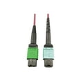 thumbnail image 3 of Eaton Tripp Lite Series 400G Multimode 50/125 OM4 Plenum Fiber Optic Cable, 16F MTP/MPO-APC to 24F MTP/MPO-UPC (F/F), Magenta, 3 m - Network cable - MTP/MPO/APC multi-mode (F) to MTP/MPO/UPC multi-mode (F) - 3 m - fiber optic - 50 / 125 micron - OM4 - plenum - black, magenta, green, aqua, 3 of 5