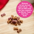 thumbnail image 6 of Milk-Bone Mini’s Peanut Butter Flavor Dog Treats Variety Pack - 15-Ounce, 6 of 14
