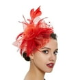 thumbnail image 1 of Qarigey Tocado de boda con flores para el pelo, adorno para el pelo de fiesta con ahorro de espacio Vintage fino y exquisito, Clip de malla Ropa, zapatos y accesorios Miscelánea Gran rojo, 1 of 6