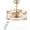 Golden, variant on Enclosed Ceiling Fan Lights 23 Inch Ceiling Fan for Bedroom LED with Remote 3-Color