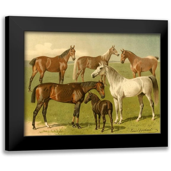 Volkers, Emil 14x12 Black Modern Framed Museum Art Print Titled - Horse Breeds I