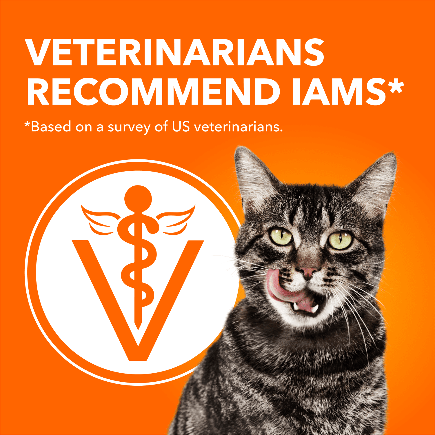 Iams Proactive Health Adult Indoor Weight & Hairball Care Dry Cat Food with Salmon 1.6kg