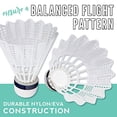 thumbnail image 3 of Juego de raquetas de bádminton Franklin Sports Aluminio Nailon Birdi, 3 of 9