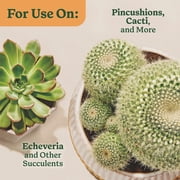 Miracle-Gro Indoor Potting Mix for Cactus and Succulent, Fast-Draining Formula, 8 qt.