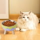 thumbnail image 1 of Aparatos de cocina, Accesorios de cocina, Comedero de acero inoxidable para perros, Comedero antideslizante para perros, Comedero para gatos, Comedero para evitar vuelcos, Comedero para gatos de patas, 1 of 6