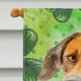 thumbnail image 3 of Carolines Treasures BB9850CHF Rhodesian Ridgeback Saint Patricks Flag Canvas - House Size, 3 of 4