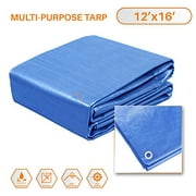 Sunshades Depot 12x16 Feet General Multi-Purpose 5 Mil Waterproof Blue Multi Purpose Waterproof Poly Tarp Cover 5 Mil Thick 8x