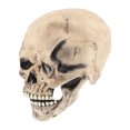 thumbnail image 1 of Máscara De Calavera De Cabeza Completa Casco De Calavera Realista Con Mandíbula Móvil Máscara De Esqueleto 3D Decoración De Miedo Espeluznante Para Fiesta De Disfraces De Halloween (Gris/Blanco) Advancent HA026625-01, 1 of 6