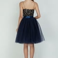 thumbnail image 3 of SWSMCLT Women's Tutu Tulle Skirt Midi Elastic Spring Bubble Skirt Halloween Skirts Mesh 4 Layers Sexy A Line Summer Navy Small-X-Large, 3 of 4