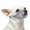 Summer Blue, variant on Dog Muzzle, Soft Mesh Muzzles for Small Dogs, Chihuahua Shih Tzu , Short Snout Mouth Guard for Barking Biting Grooming, Breathable Adjustable Puppy Muzzle (Crystal‌ Pink, XXS)