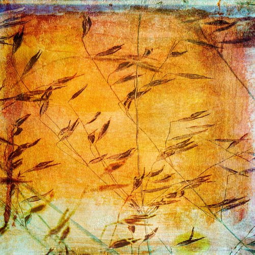 "Euphony I" Painting Print on Wrapped Canvas