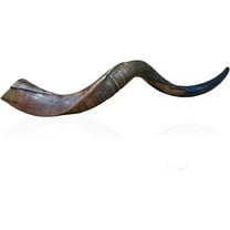 Certified Kosher Polished Kudu Horn Yemenite Shofar - Perfect for Rosh Hashanah and Jewish High Holidays - Handmade in Israel - Natural Colors - 20"-22"