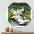 thumbnail image 2 of Designart 'Pelicans Resting Near The river Water' Traditional Circle Metal Wall Art 11x11 - Disc of 11, 2 of 5