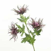 Artificial Thistle Flowers, Purple Eryngium Bouquet, Long Stem Faux Sea Holly for Wedding Centerpiece, Fall Home Decor