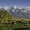 Grand Teton Pasturing Bisons, variant on Elephant Stock Tequila Jalisco Agave Field Wall Art - Nature Multi Panel Canvas - 75" x 48"