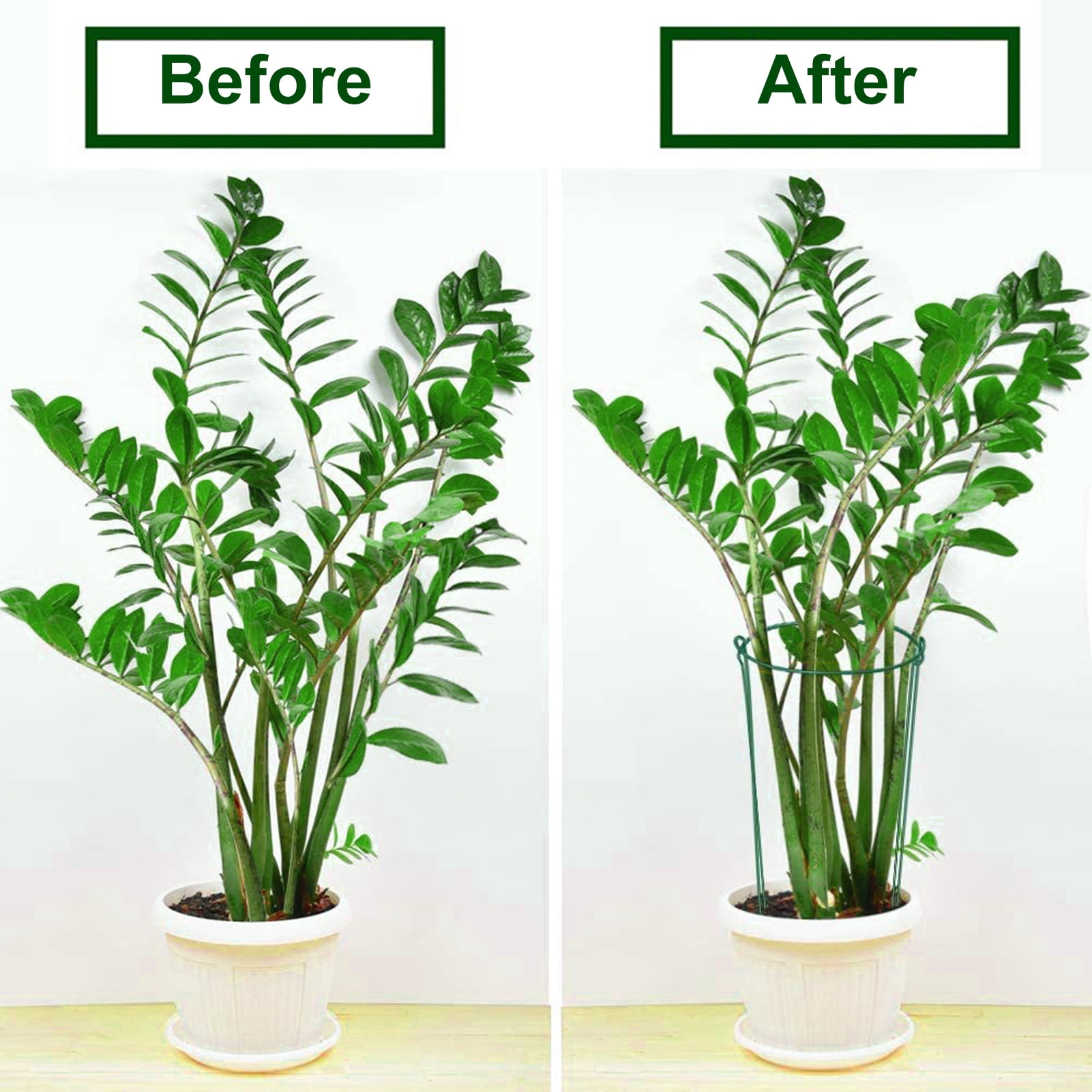 Hyasfey Plant Support Stakes Half Round Top Metal Plant Stake Peony Cages And Supports Garden Plant Support Rings for Outdoor Indoor Plants Tomato Hydrangea