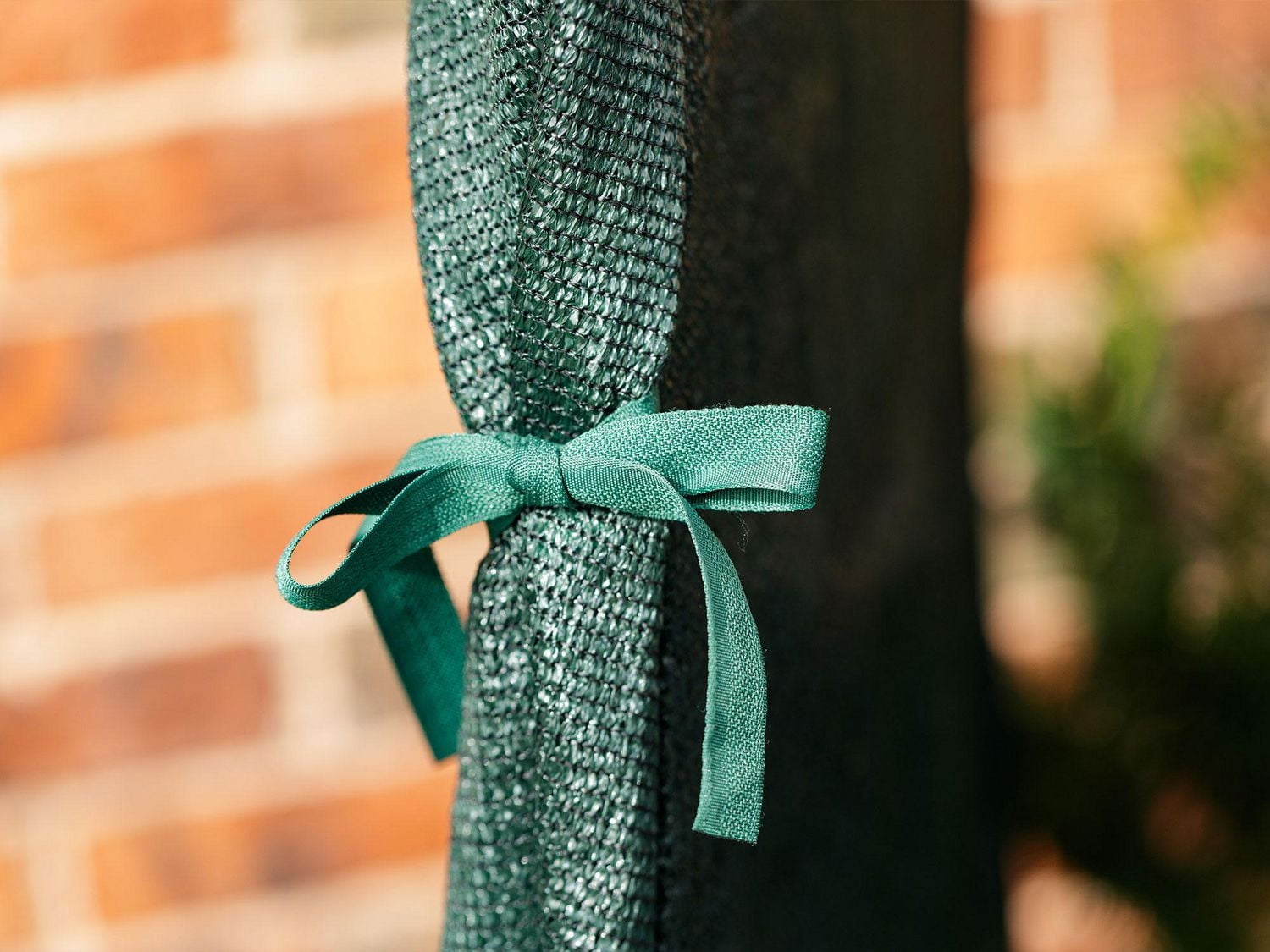 Shrub Cover 22 In. x 22 In. x 44 In.