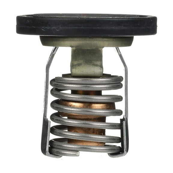 Quicksilver 8M0057307 Replacement Thermostat