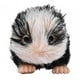 thumbnail image 5 of Muñeca Panda Bebé Realista de 5 Pulgadas, Panda Muñeca Animal Reborn, Panda Reborn Suave Panda de Silicona para Juegos de Roles para Niños, 5 of 9
