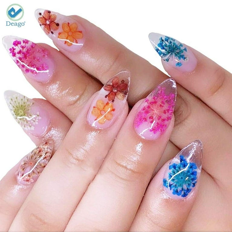 Deago Dried Flowers for Nail Art,12 Colors Dry Flowers Mini Real Natural  Flowers Nail Art Supplies 3D Applique Nail Sticker for Tips Manicure Decor