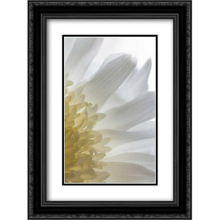 206 Matt - Chrysanthemum II 2x Matted 18x24 Black Ornate Framed Art Print by Mahan, Kathy