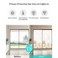 thumbnail image 4 of Window Privacy Film,Orange Tropical Palm Tree UV Sun Blocking Window Tint Film Heat Control One Way Blackout Window Film,Summer Botanical Monstera Plants Non Adhesive Static Cling Sticker 23.6x59 In, 4 of 7