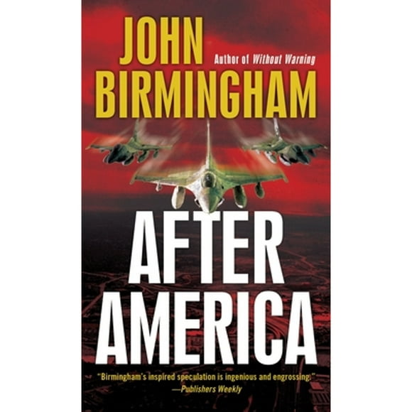 Disappearance: After America (Paperback)