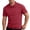 Red, variant on Mens Polo Shirts Casual Business Short Sleeve Summer Tees Lapel Button Fashion Breathable Golf T Shirt (XL, Black)