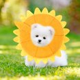 thumbnail image 4 of Luxshiny Collar Para Mascotas De Tela Con De Girasol Ergonómico Y Ajustable En Colores Variados, 4 of 6