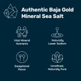 Mineral Sea Salt Fine Grind 5 Lb Bag Walmart mineral-sea-salt-fine-grind-5-lb-bag-walmart