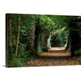 thumbnail image 1 of Great BIG Canvas | "Leaf covered pathway in dense forest, Cahir, County Tipperary, Ireland" Canvas Wall Art - 24x16, 1 of 2