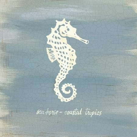 Imperial Seahorse Canvas Art - Z Studio (24 x 24)