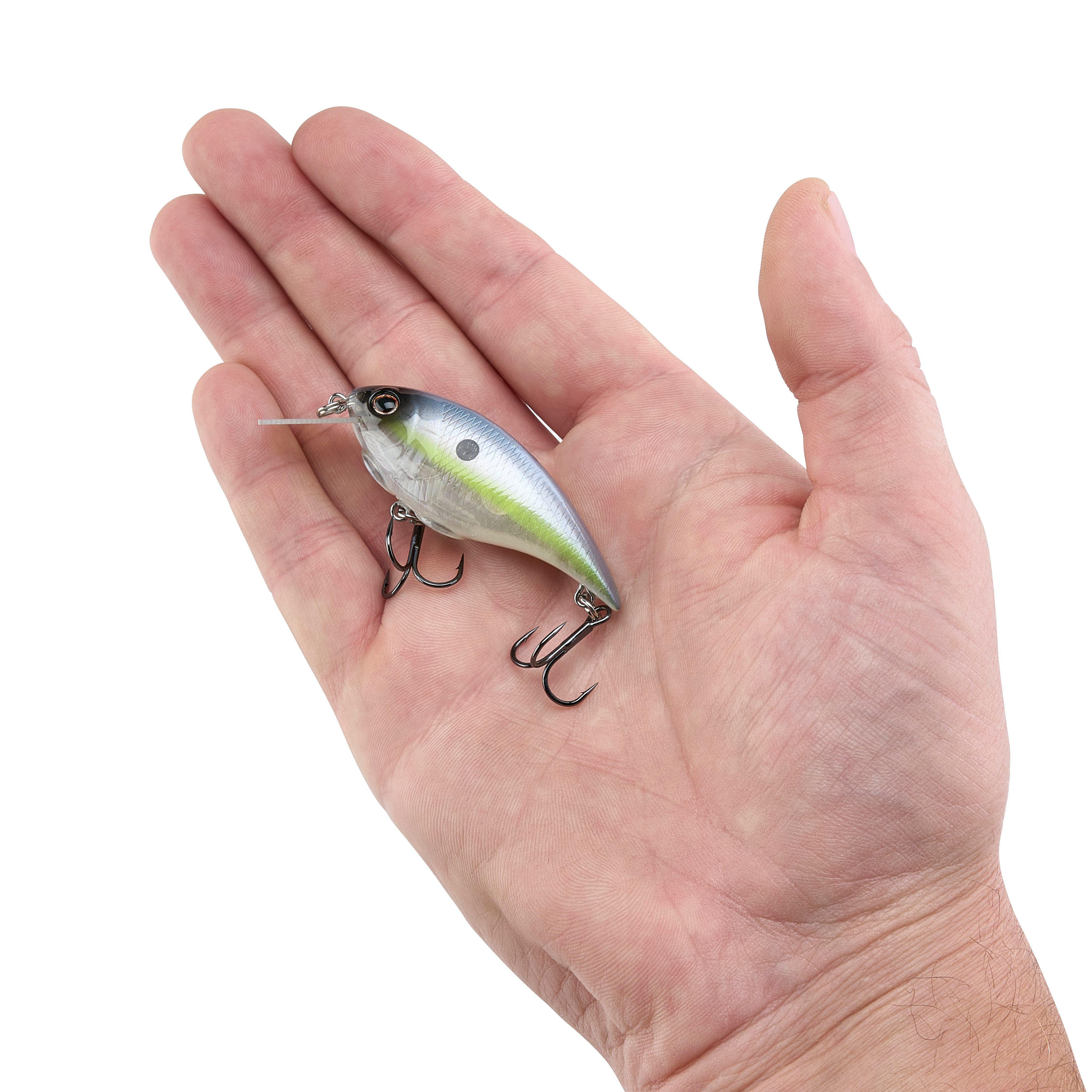Berkley Shallow Money Badger Fishing Crankbait, 2.5 in, Hybrid Baitfish-Crayfish