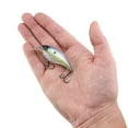 thumbnail image 5 of Berkley Shallow Money Badger Fishing Crankbait, 2.5 in, Hybrid Baitfish-Crayfish, 5 of 6