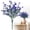 C, variant on YardChic 1Pc Artificial Simulation Camellia Eucalyptus Flowers, 7-Fork Connected Fake Eucalyptus Leaves Greenery Stems for Indoor Outdoor Bouquet Centerpiece Home Office Wedding Decor