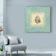 thumbnail image 3 of Trademark Fine Art 'Bijou de Mer II' Canvas Art by Daphne Brissonnet, 3 of 4